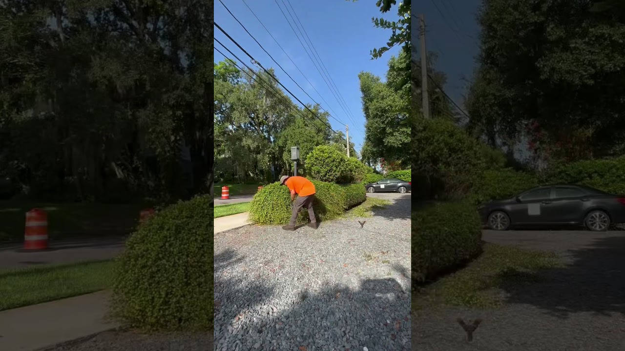Hand trimming is what the client wanted 