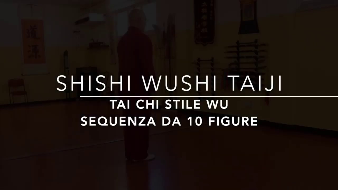 ShiShi Taiji stile Wu