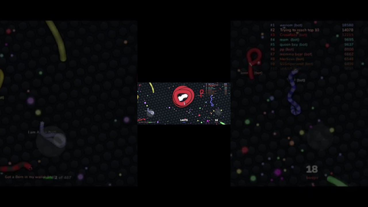 Playing slither.io top one gameplay