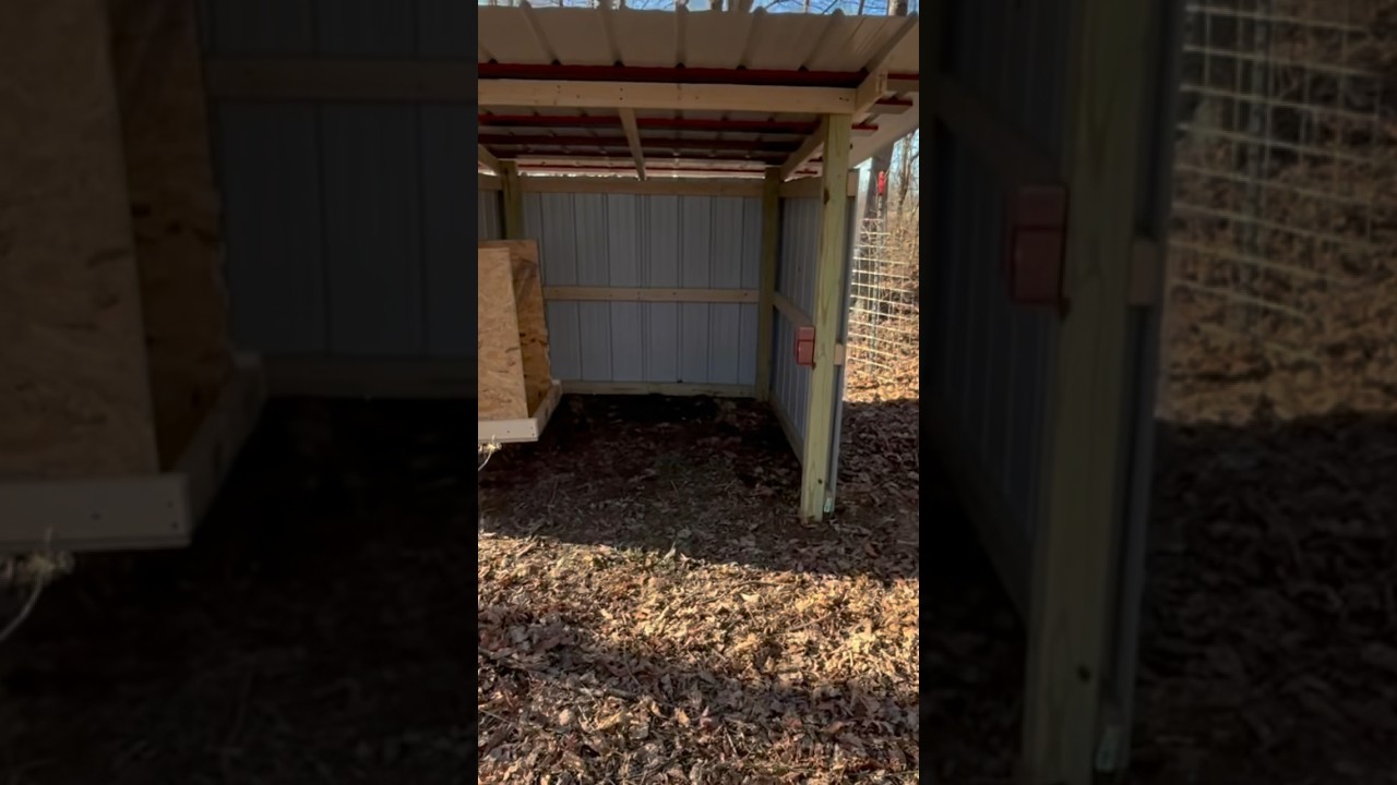 New Goat Shed Build in Less Than A Minute!!! #homestead