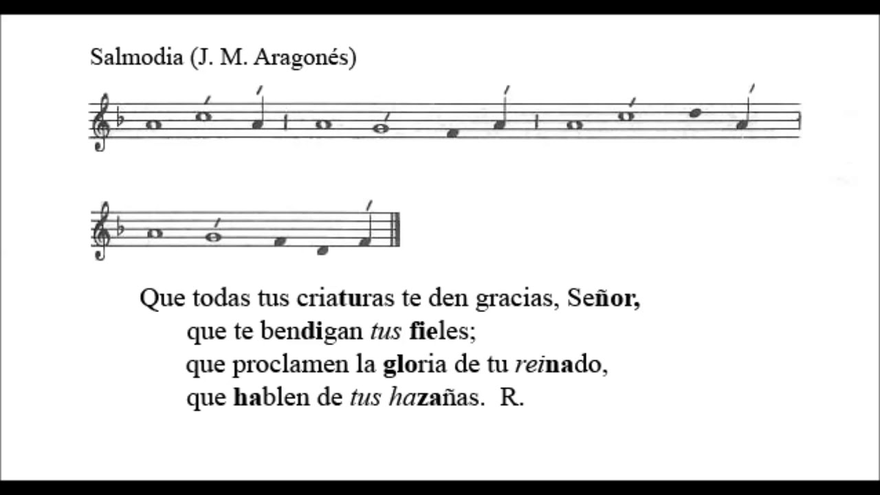 Salmo XVII del Tiempo Ordinario Ciclo B