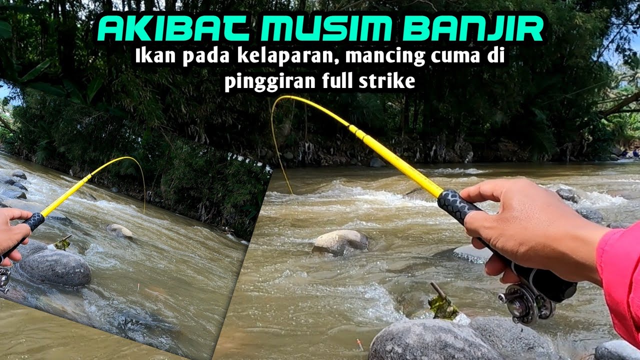 Mancing di musim banjir ikan kelaparan || Cuma di pinggiran pesta strike (micro fishing)