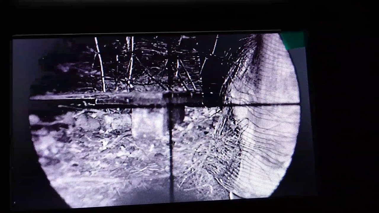 Bestsight Night Vision Scope Kit Test - Rat Hunting - 2 Second Improvements