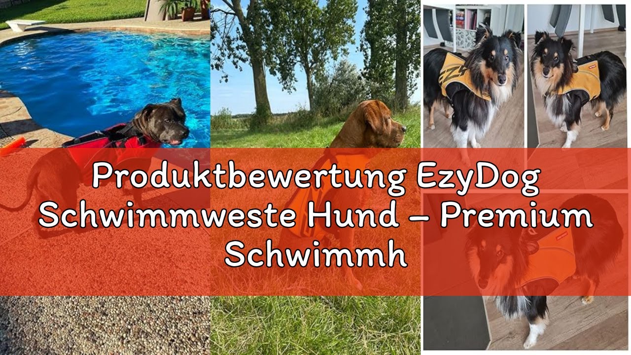 Produktbewertung EzyDog Schwimmweste Hund – Premium Schwimmhilfe für kleine, mittlere & große Hunde