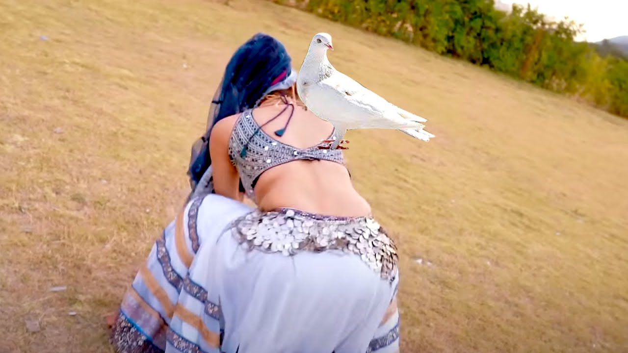 गोरी नाचे रे नागौरी नाचे (छम्मक छम्मक )के बाद आ गया 