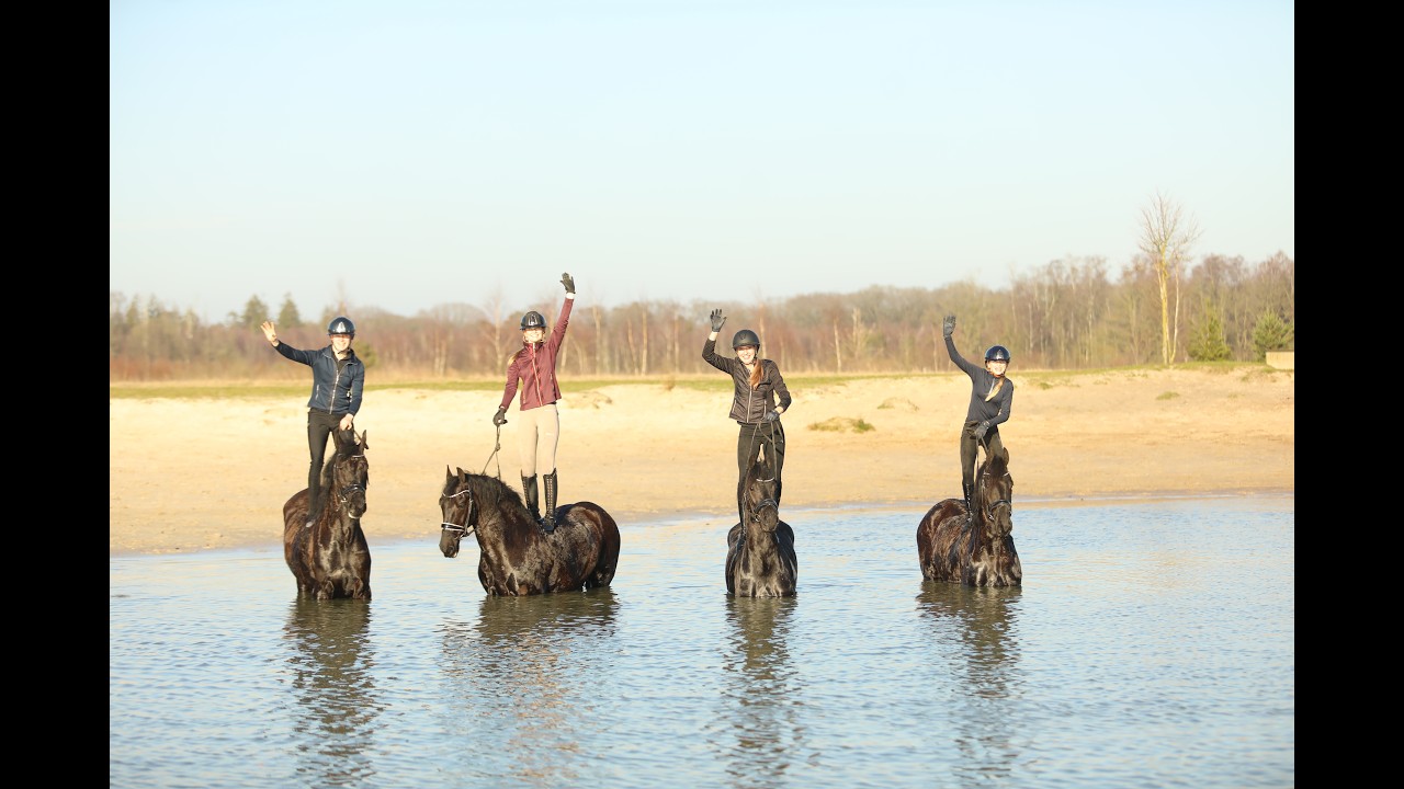 Taking 12 horses on a fun outdoor ride to the Spartelvijver!