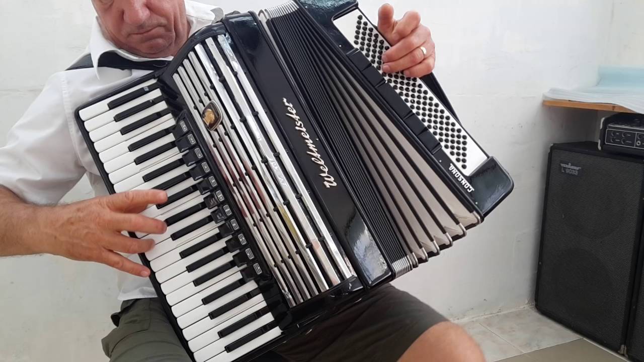 Weltmeister Consona 120 Bass LMMH Accordion Akkordeon Fisarmonica Black + Case 2