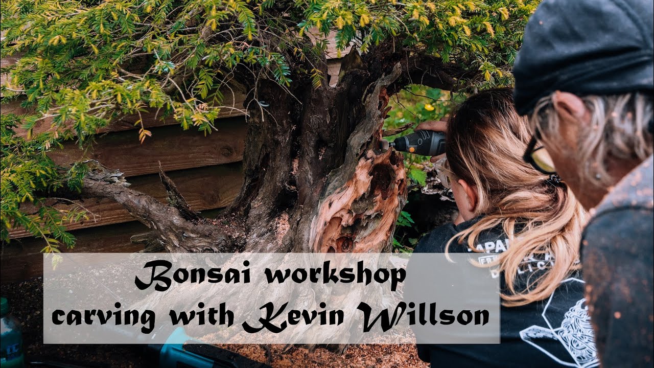 Bonsai workshop - carving with Kevin Willson. My great UK journey, Part 1