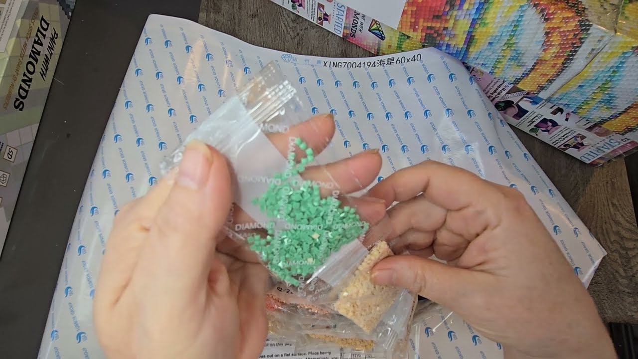 Bonus Video - Let's Talk About Paint With Diamonds