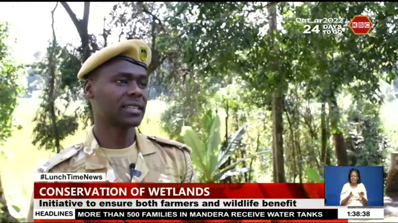 Farmers urged to plant tree in wetland areas