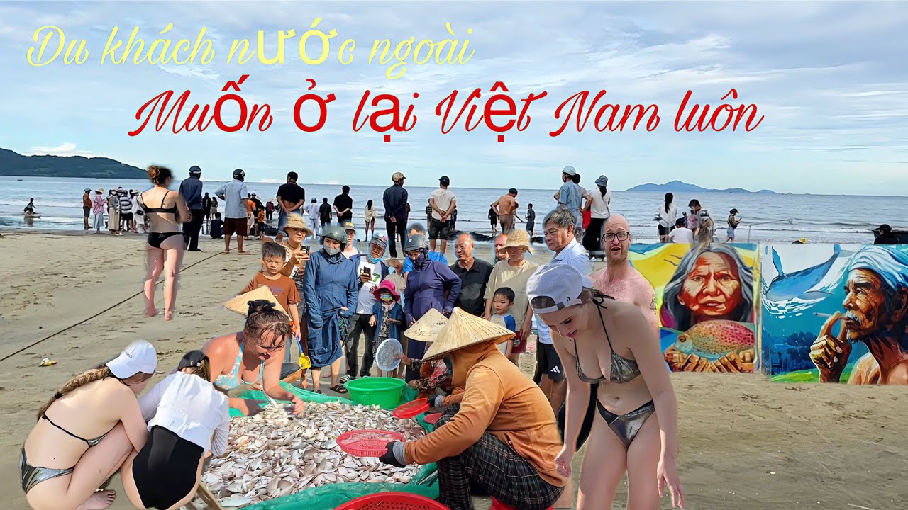 Người Nước Ngoài Đánh Bắc Cá Ven Biển Cùng Ngư Dân Việt Nam Thu Hoặc Nhiều Loại Hải Sản Tươi Sống 
