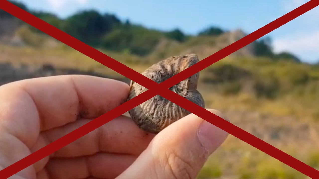 Ramassage des fossiles interdit en 2023 dans la réserve naturelle du Calvados