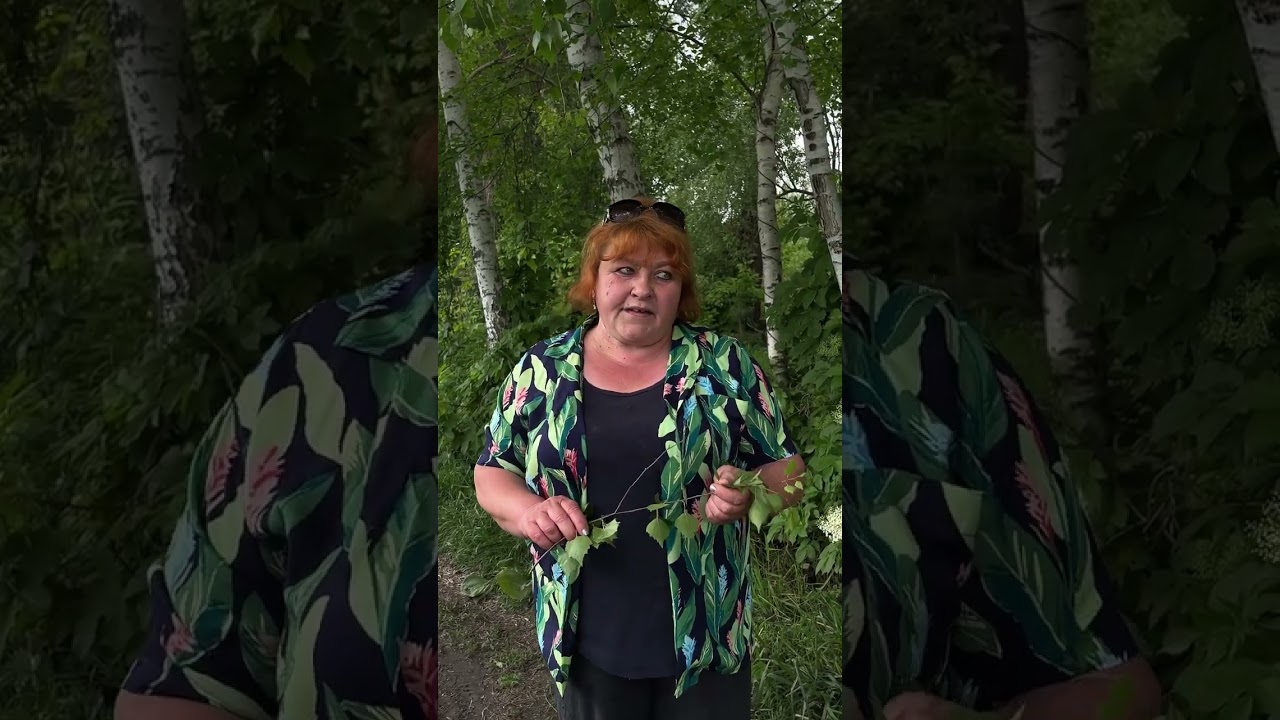 Про лікувальні властивості листя берези@7777borch.fito.