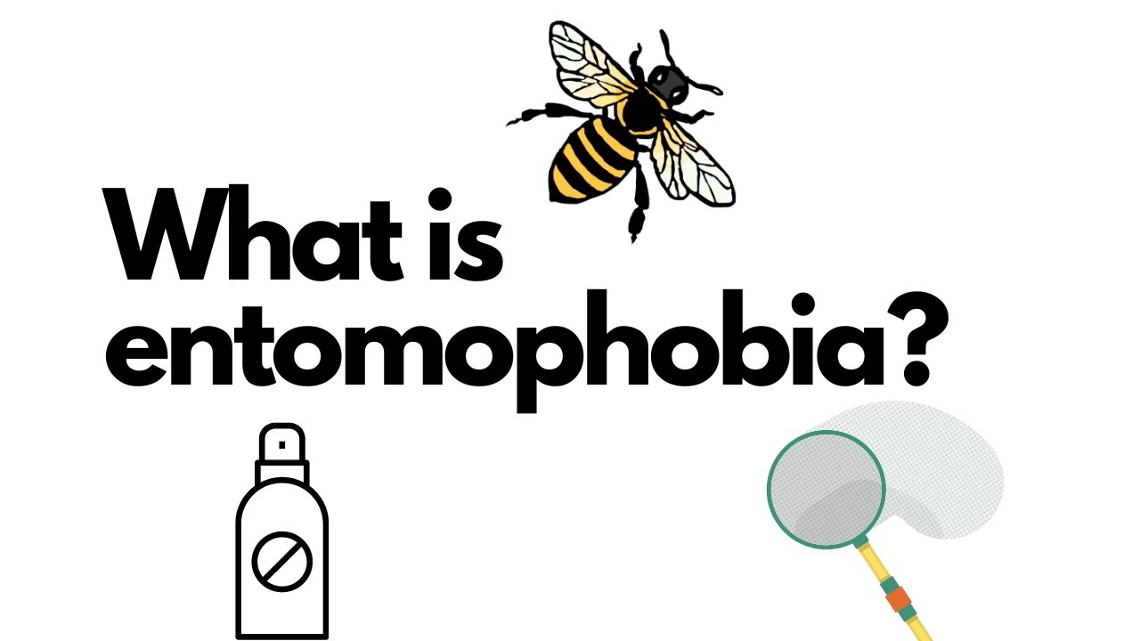 what is Entomophobia & how can you solve it?