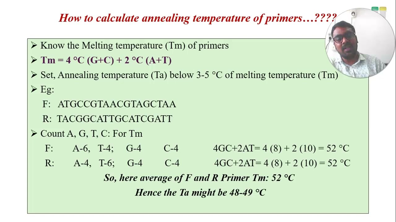 Basic Aspects of PCR-Part 2