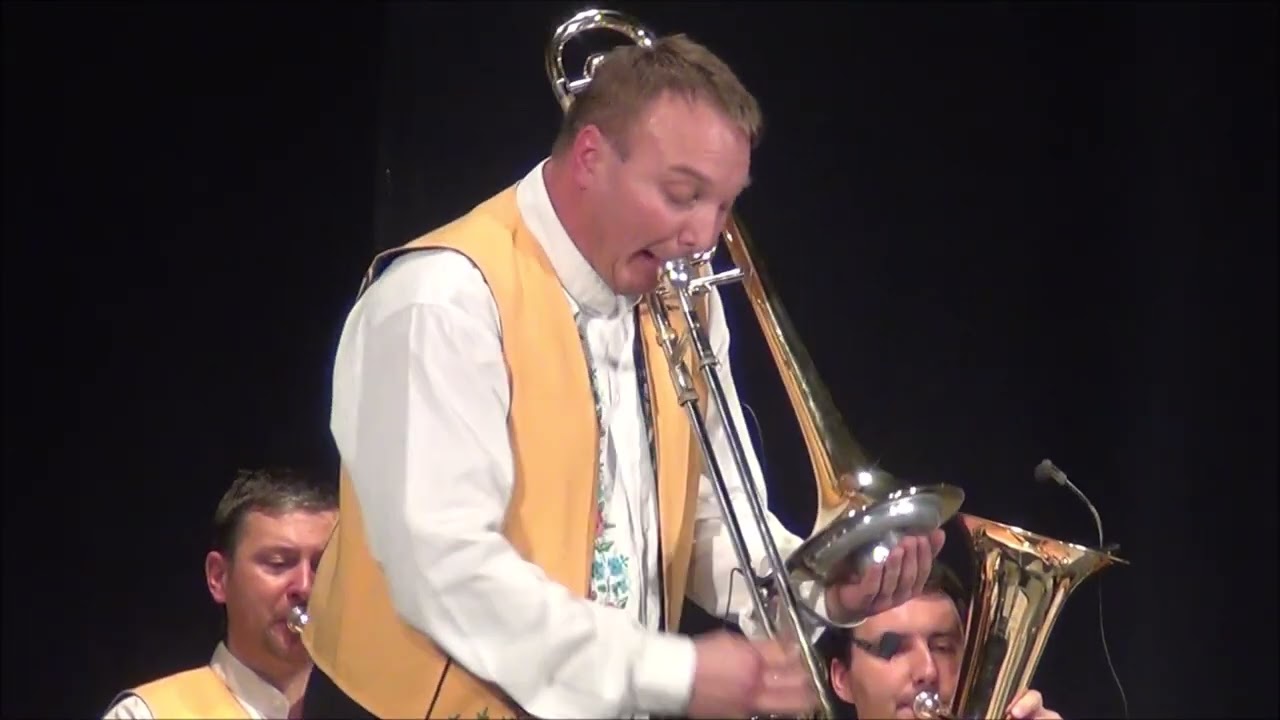 kumpanovi muzikanti zabak live 2011