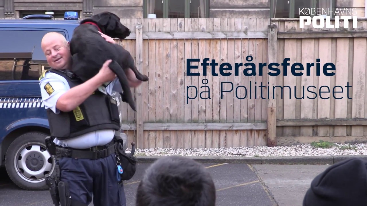 Hunde i aktion p&aring; Politimuseet