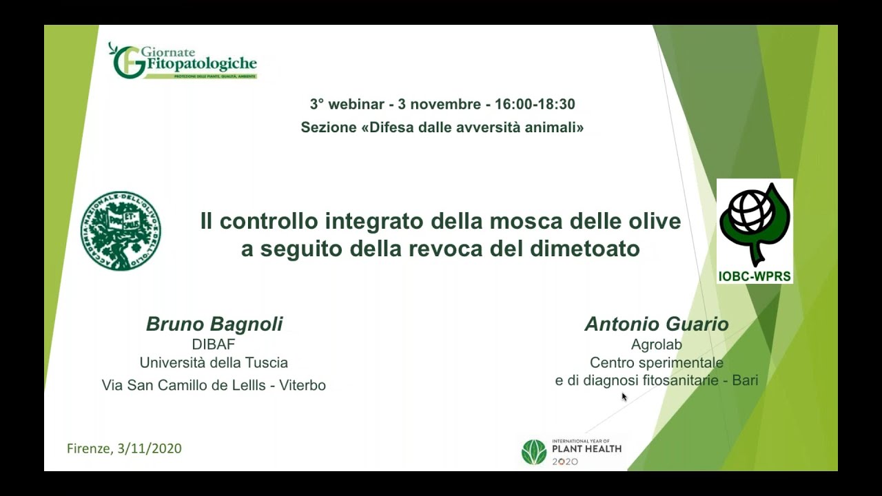 GF 2020 - Il controllo integrato della mosca delle olive a seguito della revoca del dimetoato