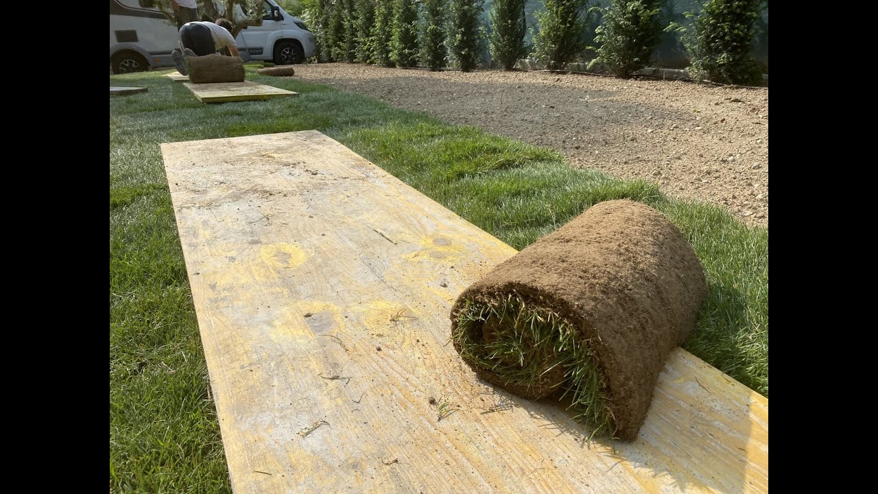 🌱 POSE & ENTRETIEN DE GAZON NATUREL EN ROULEAUX – GAZON DE LA HARDT 🌿