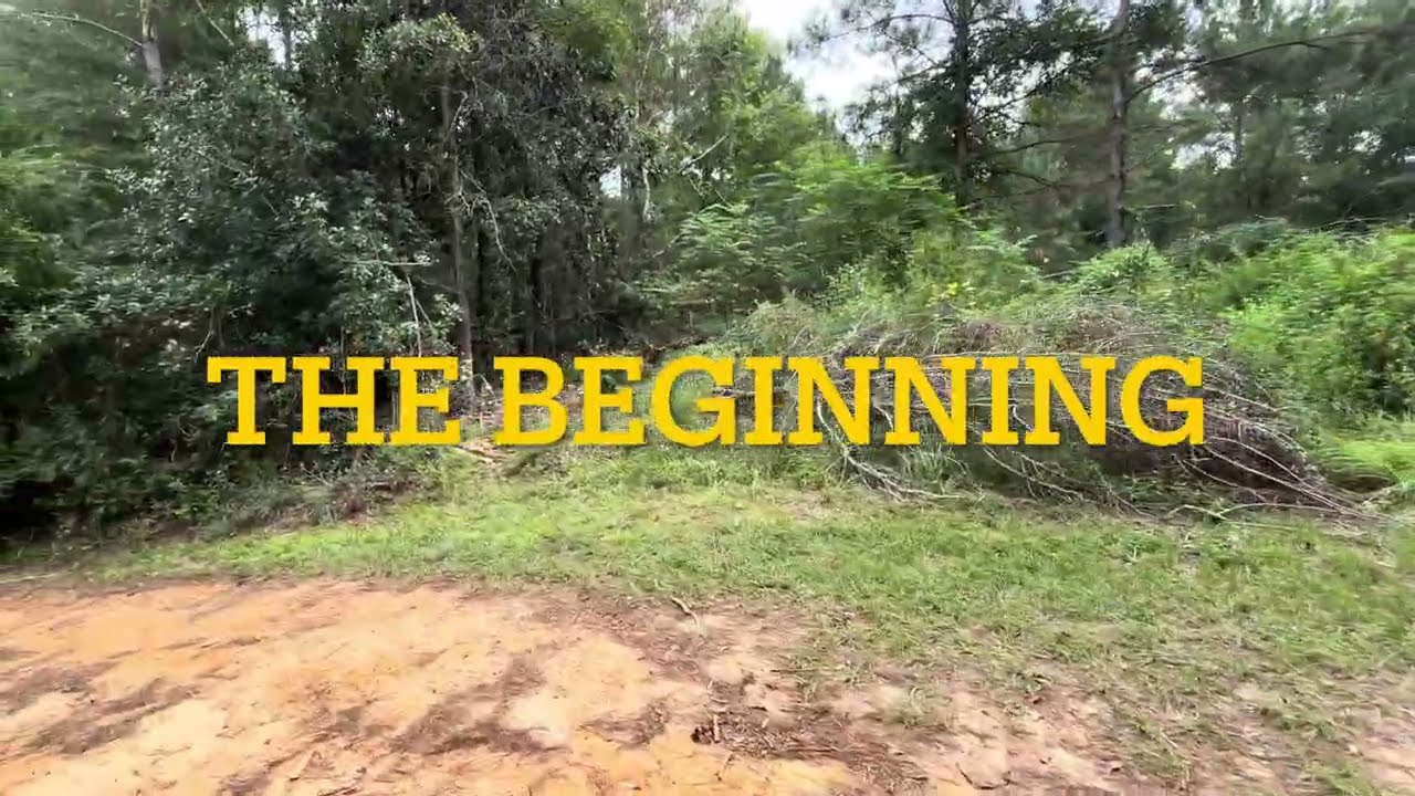 The Start of Our Dream: Land Clearing Our Future Homestead