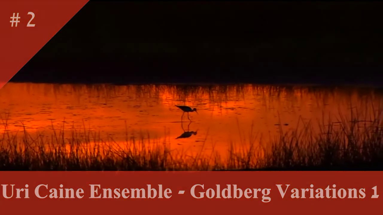 Bach Goldberg Variations ( Uri Caine Ensemble )