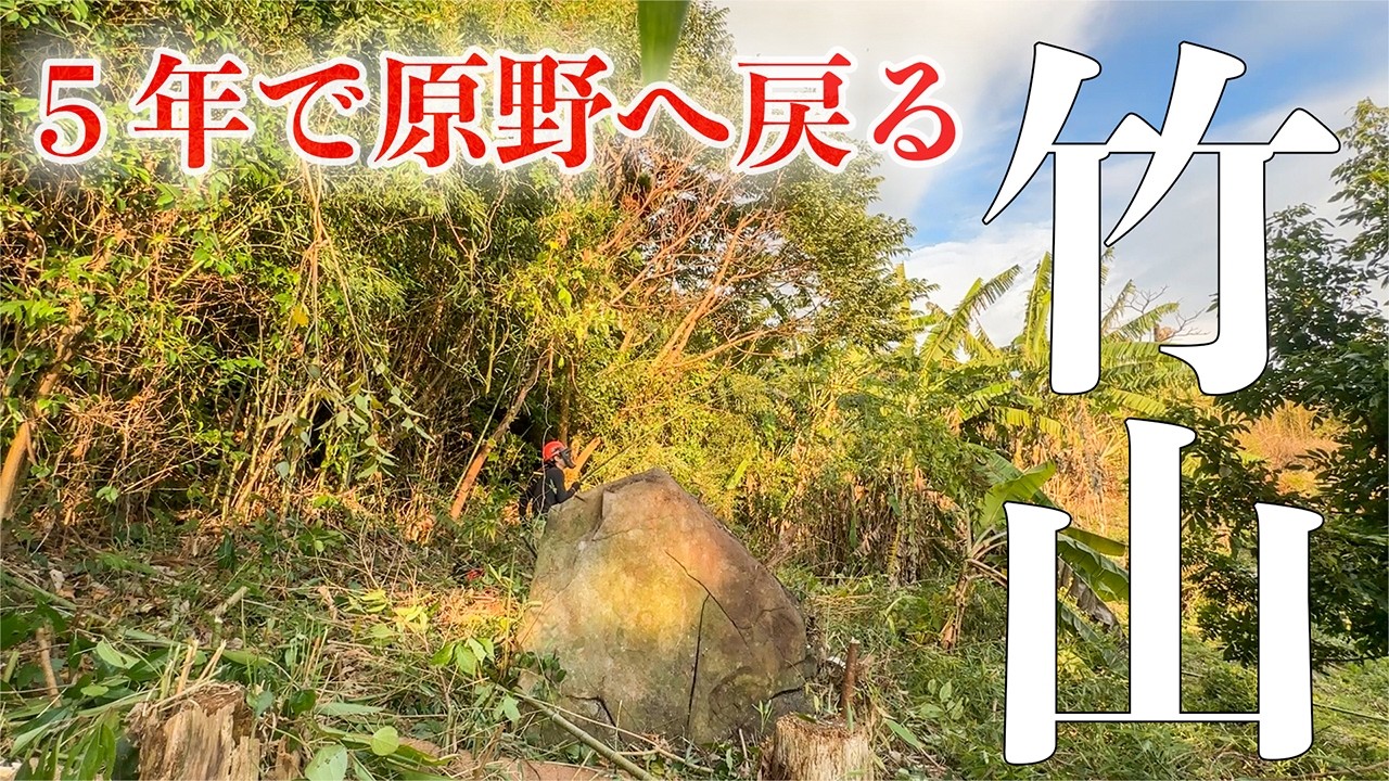 【冬の山仕事】5年放置の竹山を開拓して、畑を照らす森に変えていく。#298