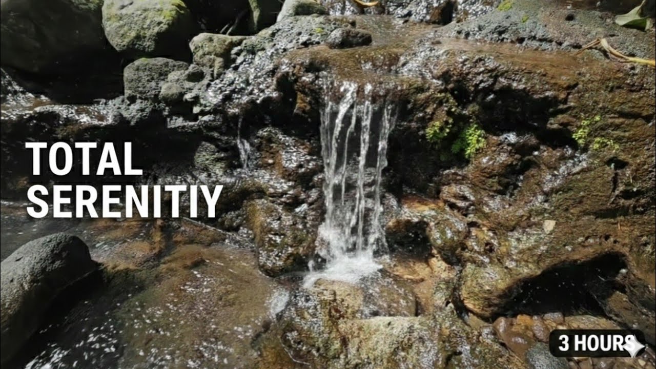 Gentle River Sounds 🌿 2 Hours 50 Minutes of Natural Water Ambience for Sleep & Relaxation