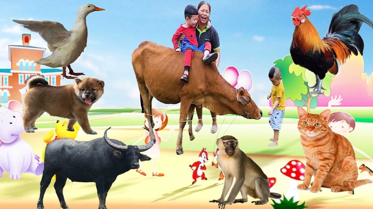 con bò - con trâu - con khỉ - con ga - con heo - con vịt - các con vật - con gì đây - bé học con vật