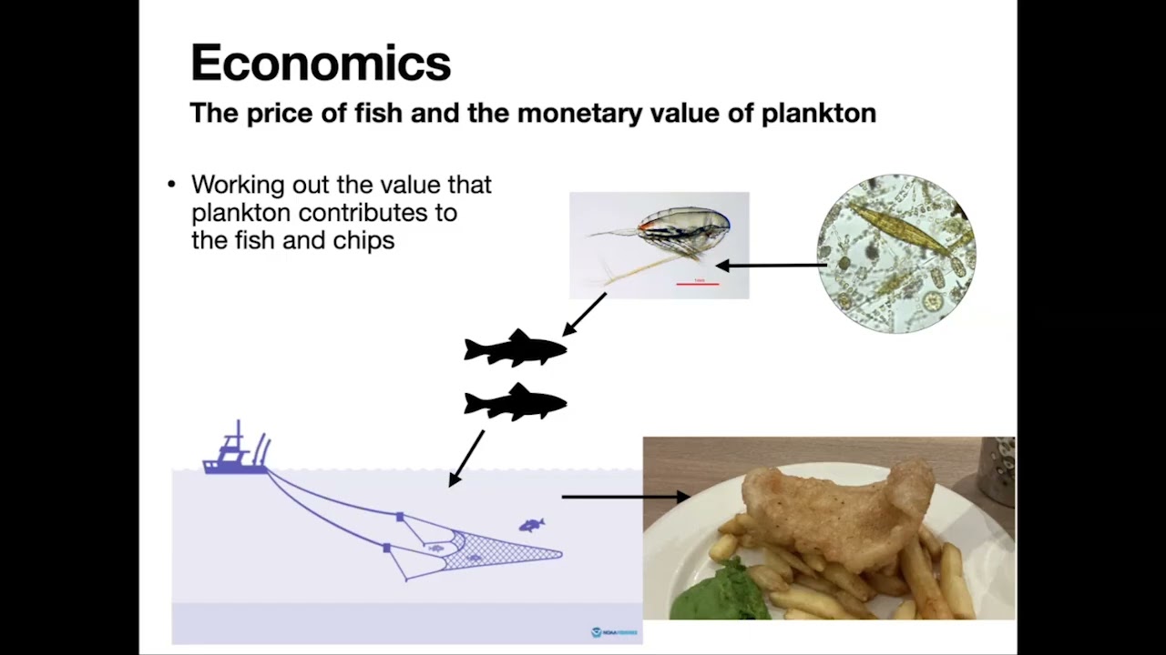 The price of fish and the value of plankton: natural capital in the UK pelagic habitats