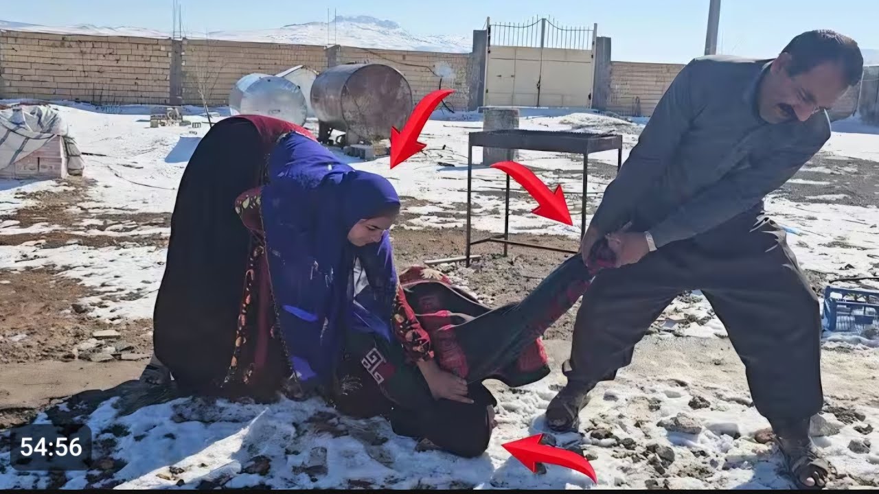descriptionManaging Emotions: Ali and Afsaneh's Attacks on Blossom in the Snow