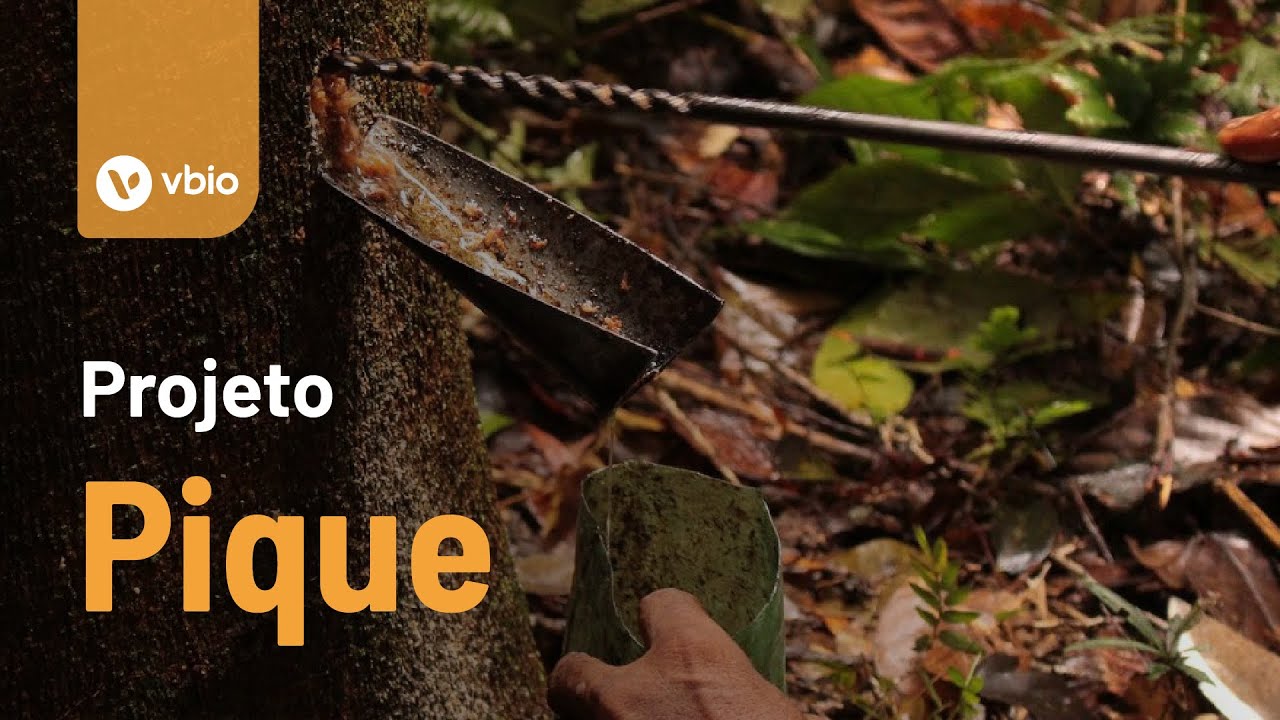 Projeto Pique: conservação que gera renda na Amazônia