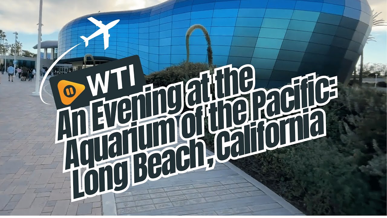 An Evening at the Aquarium of the Pacific | Long Beach, California