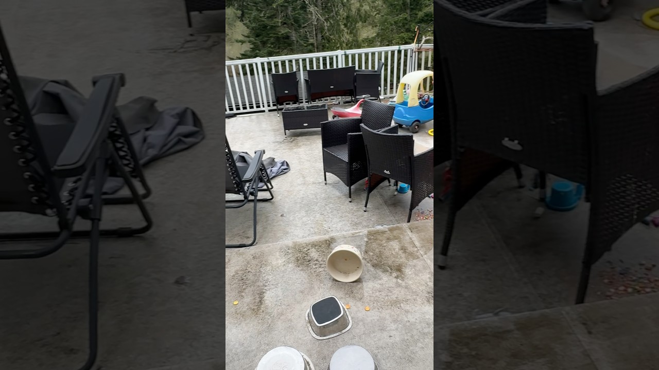 Power wash #satisfying #powerwashing #cleaning #deepclean #springcleaning #sunshine #cleantok