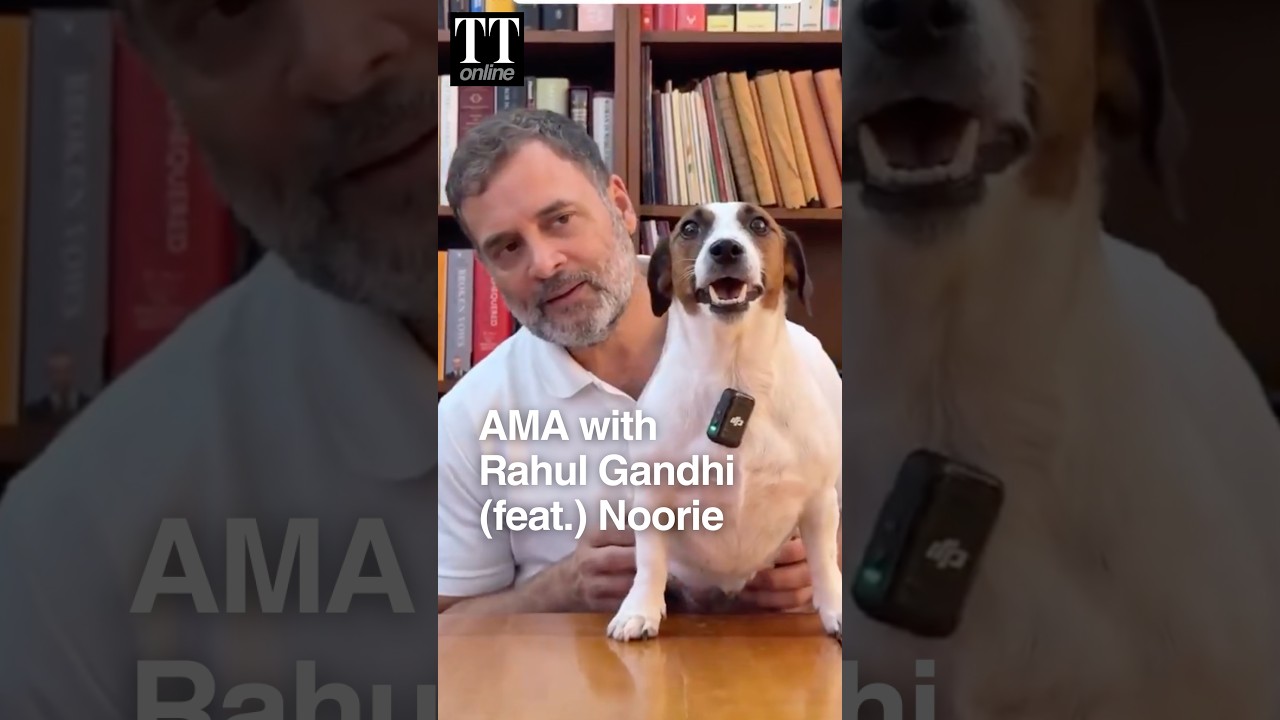 Rahul Gandhi&rsquo;s AMA Had an Unexpected Star: Meet Noorie, The Show Stealer #rahulgandhi #dog