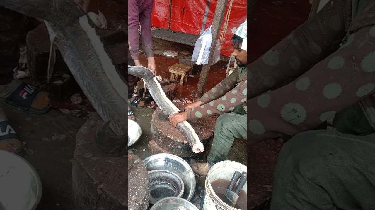 amazing Balm fish cutting skills