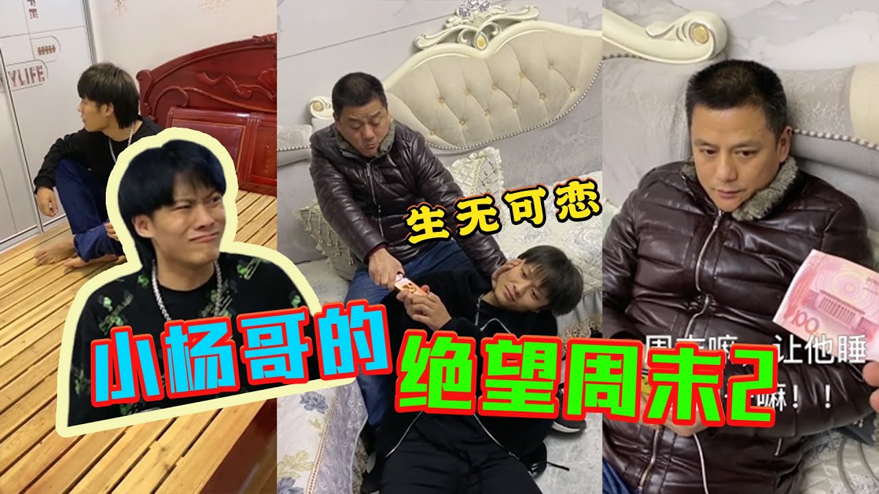 🔥【瘋狂小楊哥日常爆笑合集】一个绝望的周末，老弟一直很纳闷老爸为啥这样对他！？#疯狂小杨哥 #杨爸 #大杨哥 #小杨哥 #爆笑一家人 #小杨哥头号粉丝 #瘋狂小楊哥