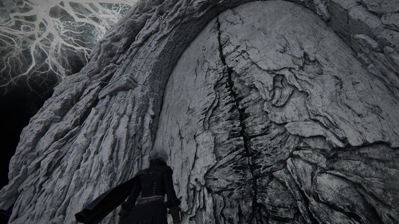 ELDEN RING NIGHTREIGN Deep of Night Raider w/ BOWGS and random VS Caligo