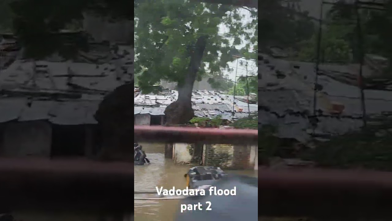 Flood 2024 @scrollgujarat #gujarat