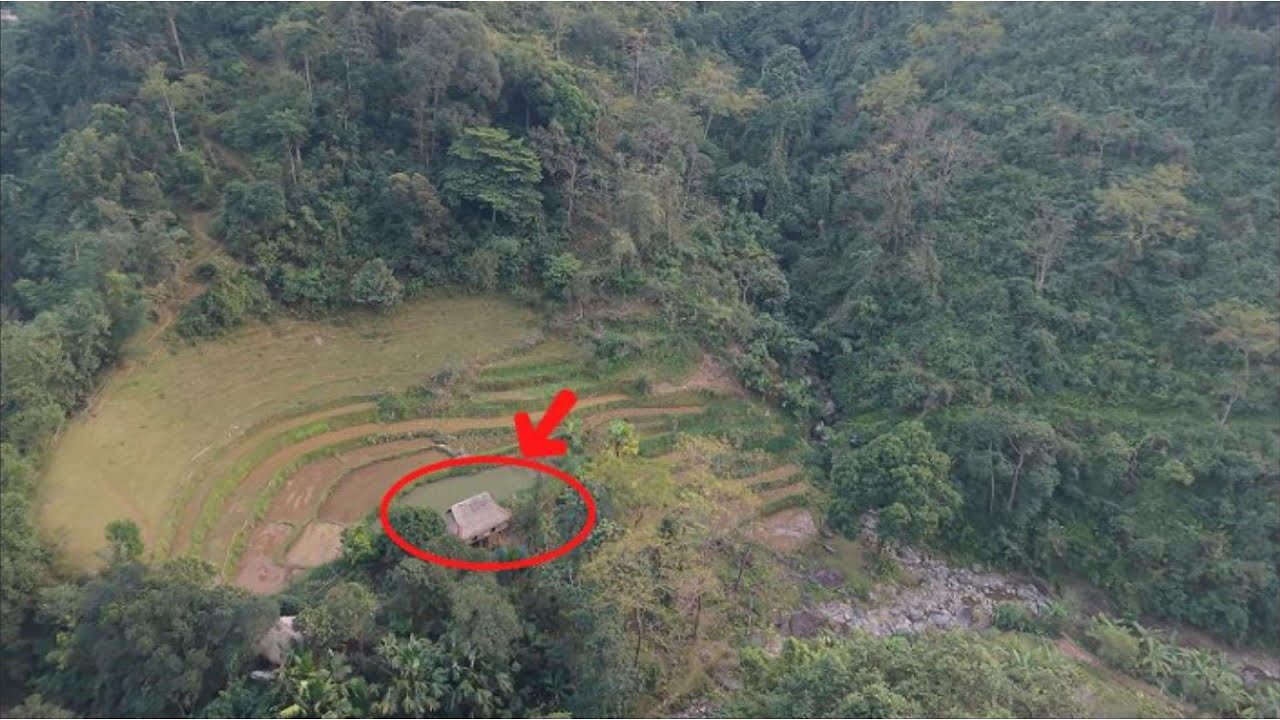 An Elderly Woman Living Alone in Rural Vietnam