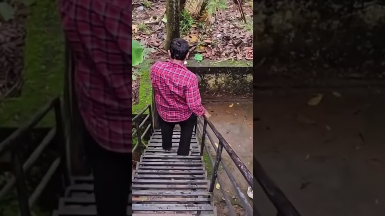 #alinjose #malayalam #viral