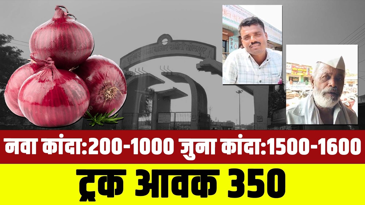 सोलापूर मार्केट: आवक कमी तरी कांद्याला भाव नाही