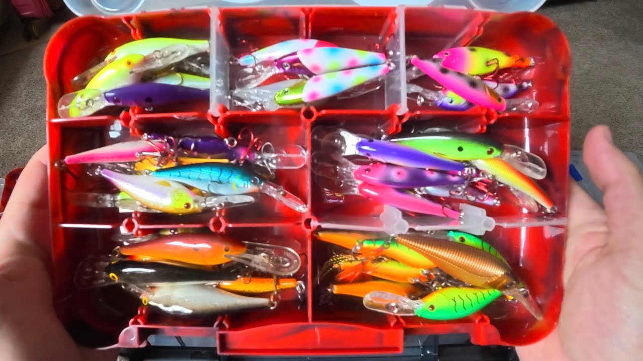 Tackle Box Breakdown! What to use and how to organize!