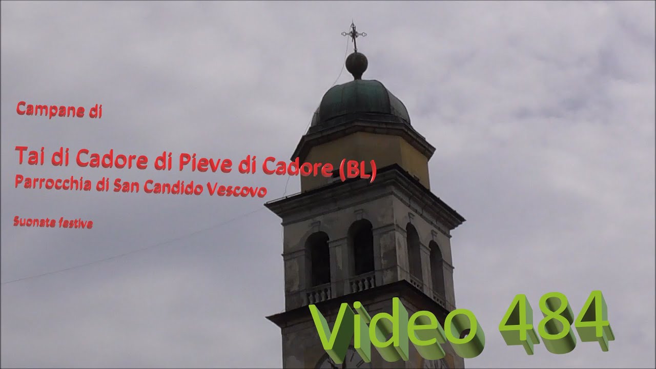 Campane della Parrocchia di San Candido Vescovo in Tai di Cadore di Pieve di Cadore (BL) v.484