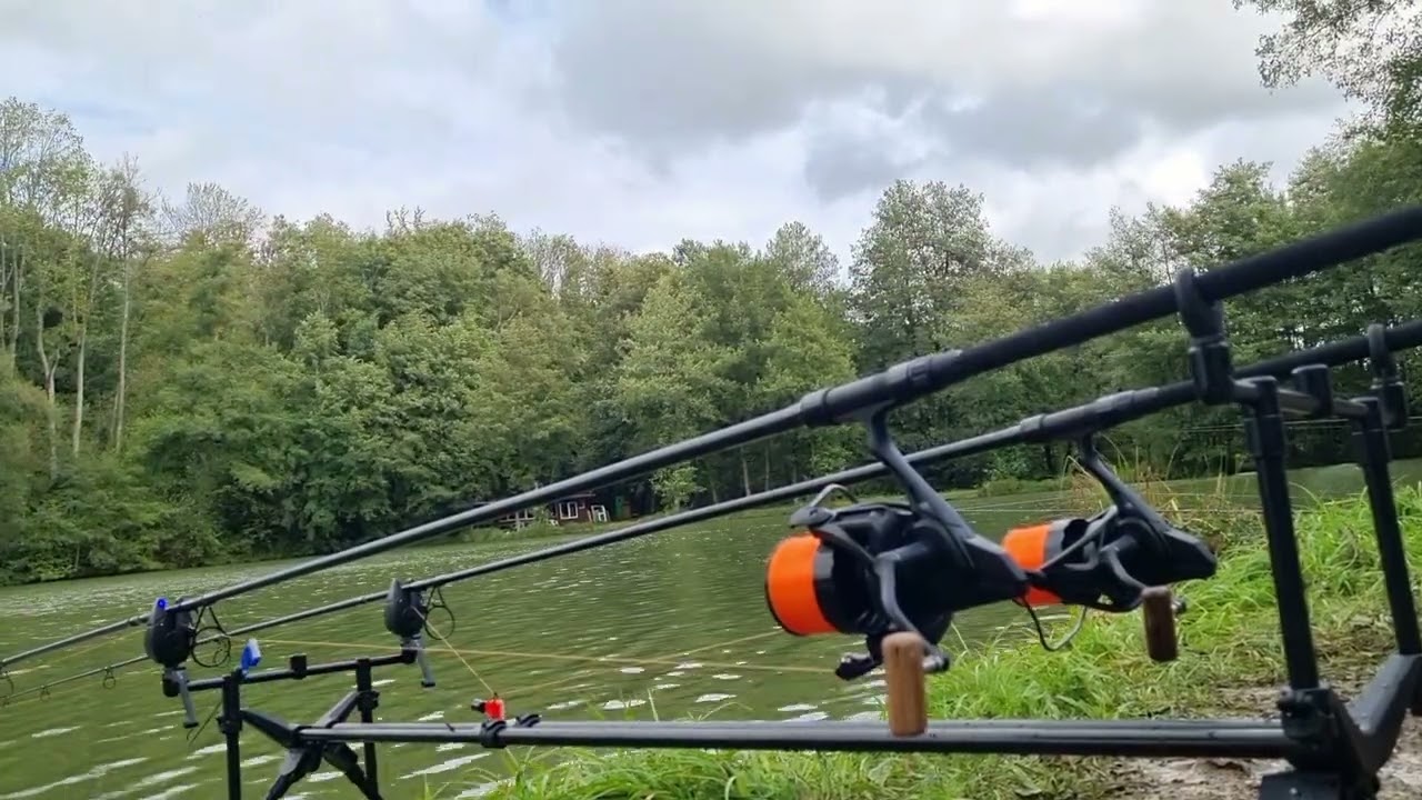 Carp run - Karpfen - FOX MX Alarms #carp #carprun #carpruncompilation #carpfishing #fishing