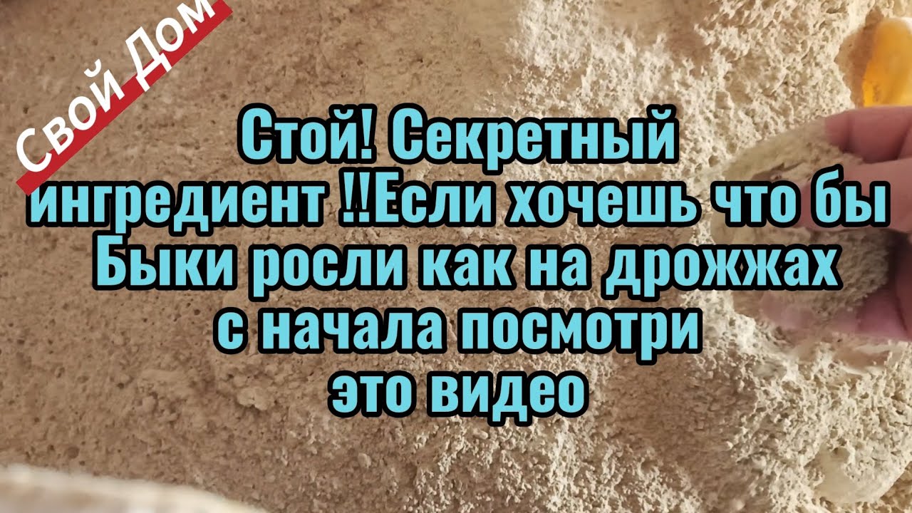 Стой! Секретный ингредиент !!Если хочешь что бы Быки росли как на дрожжахс начала посмотриэто видео
