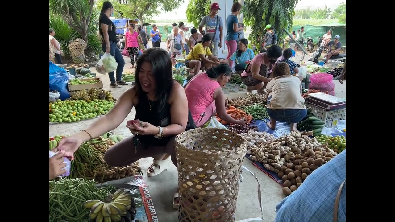 Bais City market