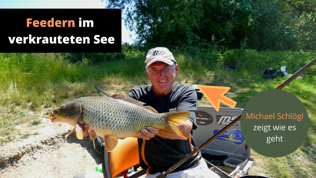 Feedern im verkrauteten See - mit dieser Montage und Taktik fangt auch ihr!