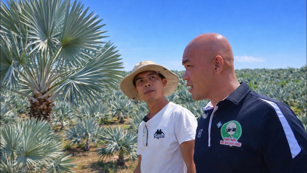 HÔM NAY GHÉ THĂM MÔ HÌNH VƯỜN–AO–CHUỒNG TỔNG ĐẦU TƯ HƠN 10TỶ ĐỒNG CỦA MỘT ANH NÔNG DÂN RẤT CHỊU CHƠI