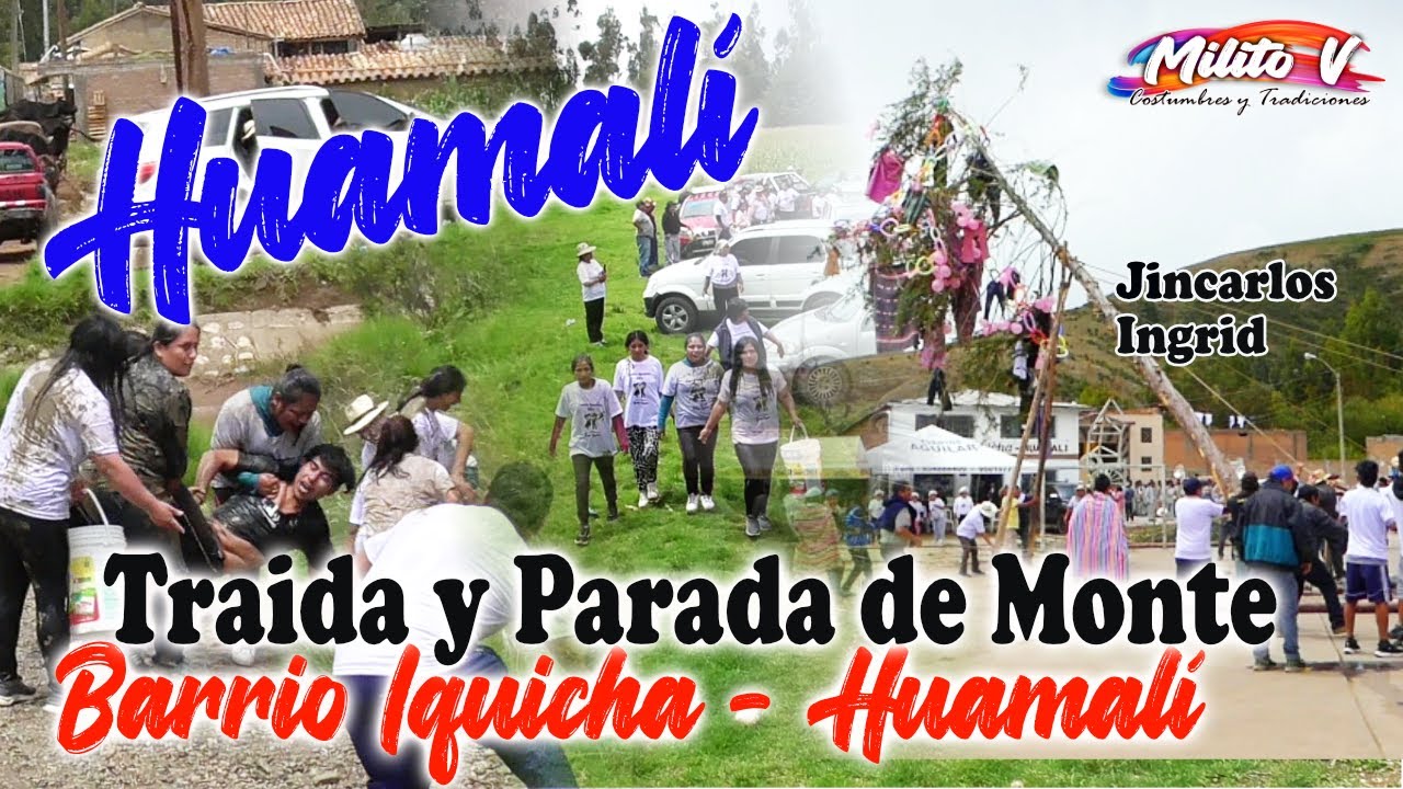 TRAIDA Y PARADA DE MONTE 2023 - BARRIO IQUICHA(Padrinos,Jincarlos e Ingrid, padrinos del cortamonte)