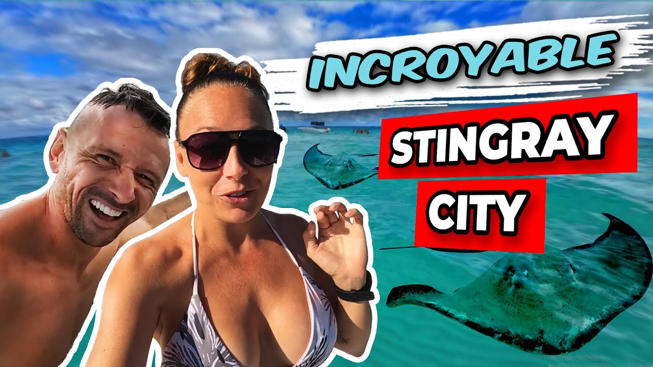 Expérience Inoubliable avec des Raies 😲 à Stingray City + Mesures Essentielles pour notre Safran 🔧